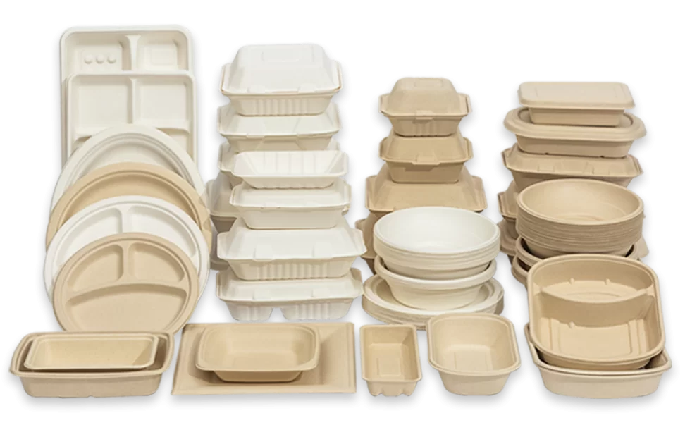 Bagasse